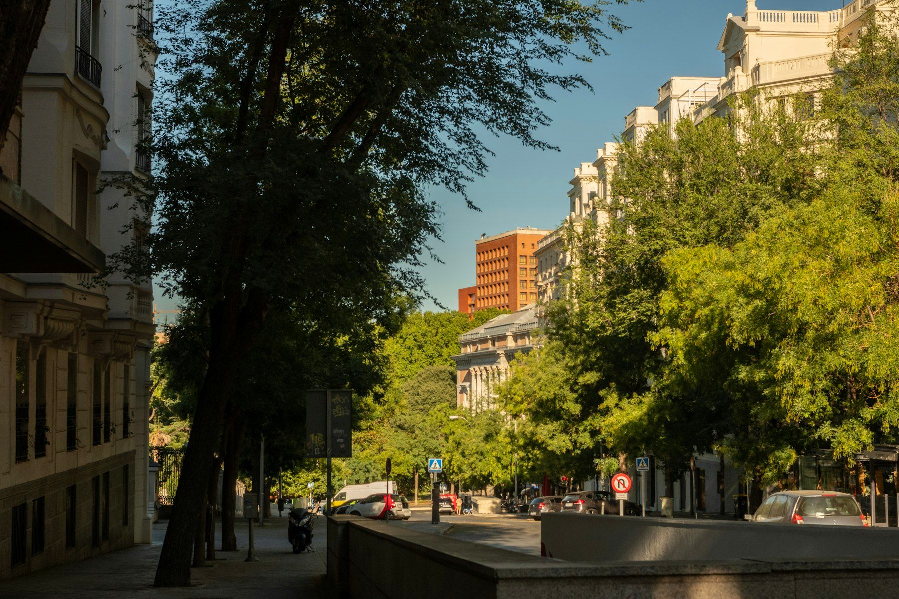 Calle arbolada con edificios de viviendas